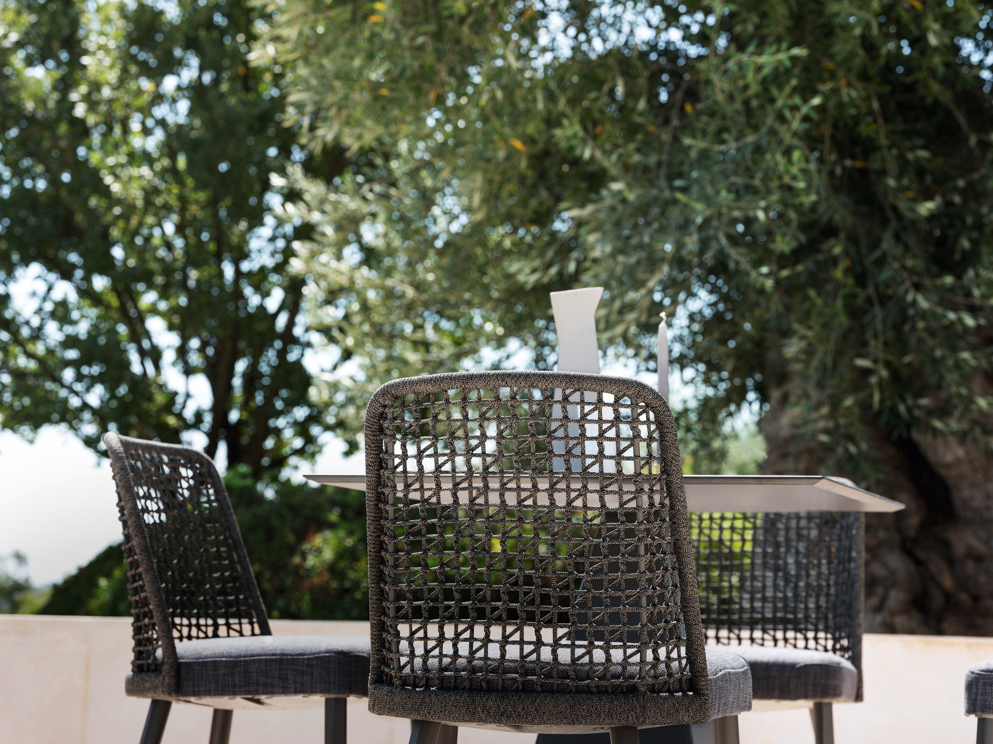 A dark rope lattice in sharp foreground against an out-of-focus olive grove