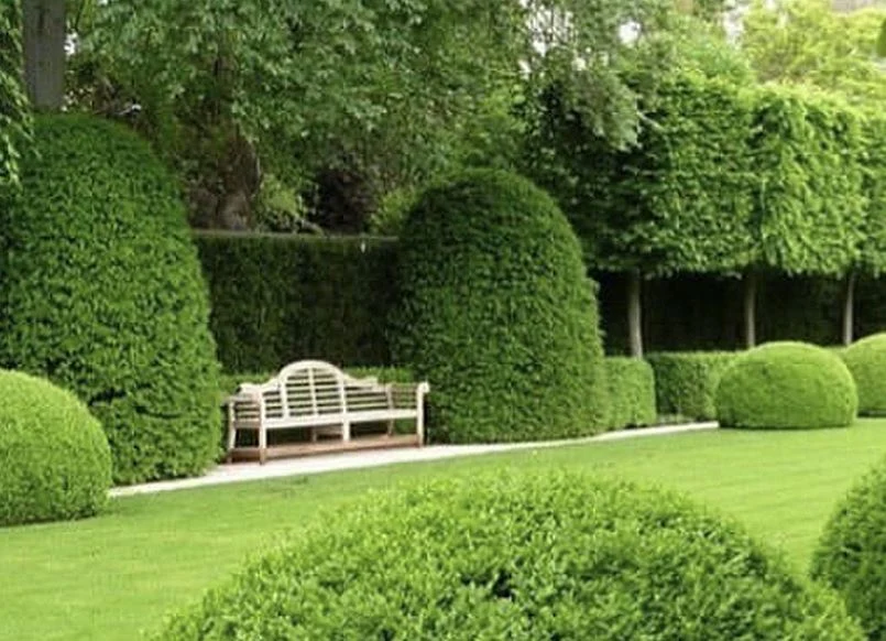 6' Bench — Kingsley Bate range-page photograph