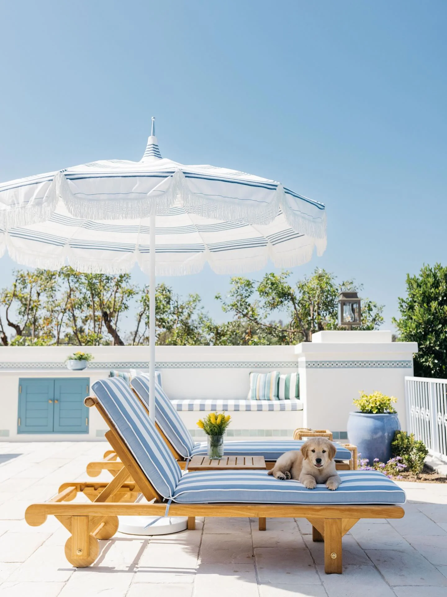 Chaise — Kingsley Bate range-page photograph