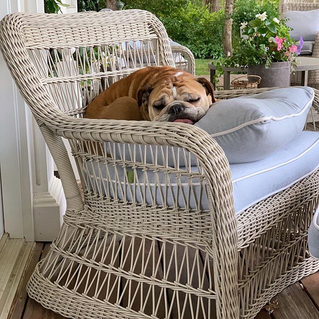 Lounge Chair — Kingsley Bate range-page photograph
