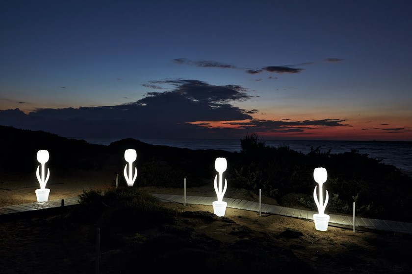 MYYOUR Tulip / Tulip XL Lamp