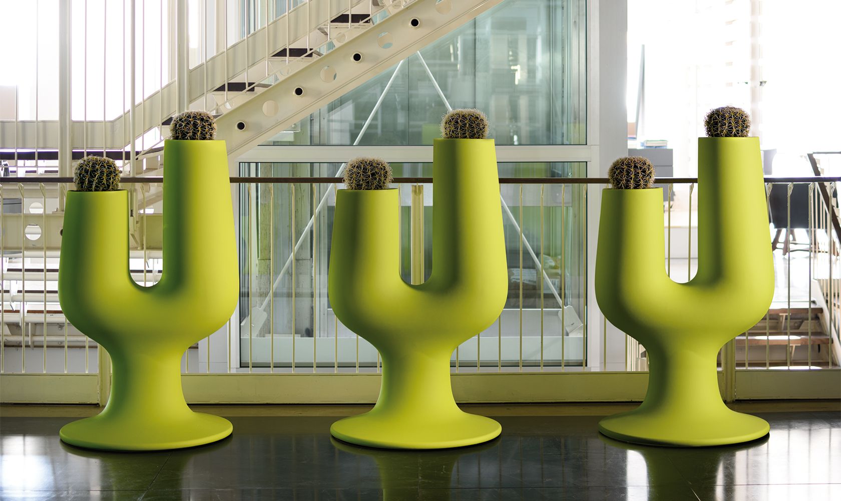 Plust Cactus Furnishing Accessory