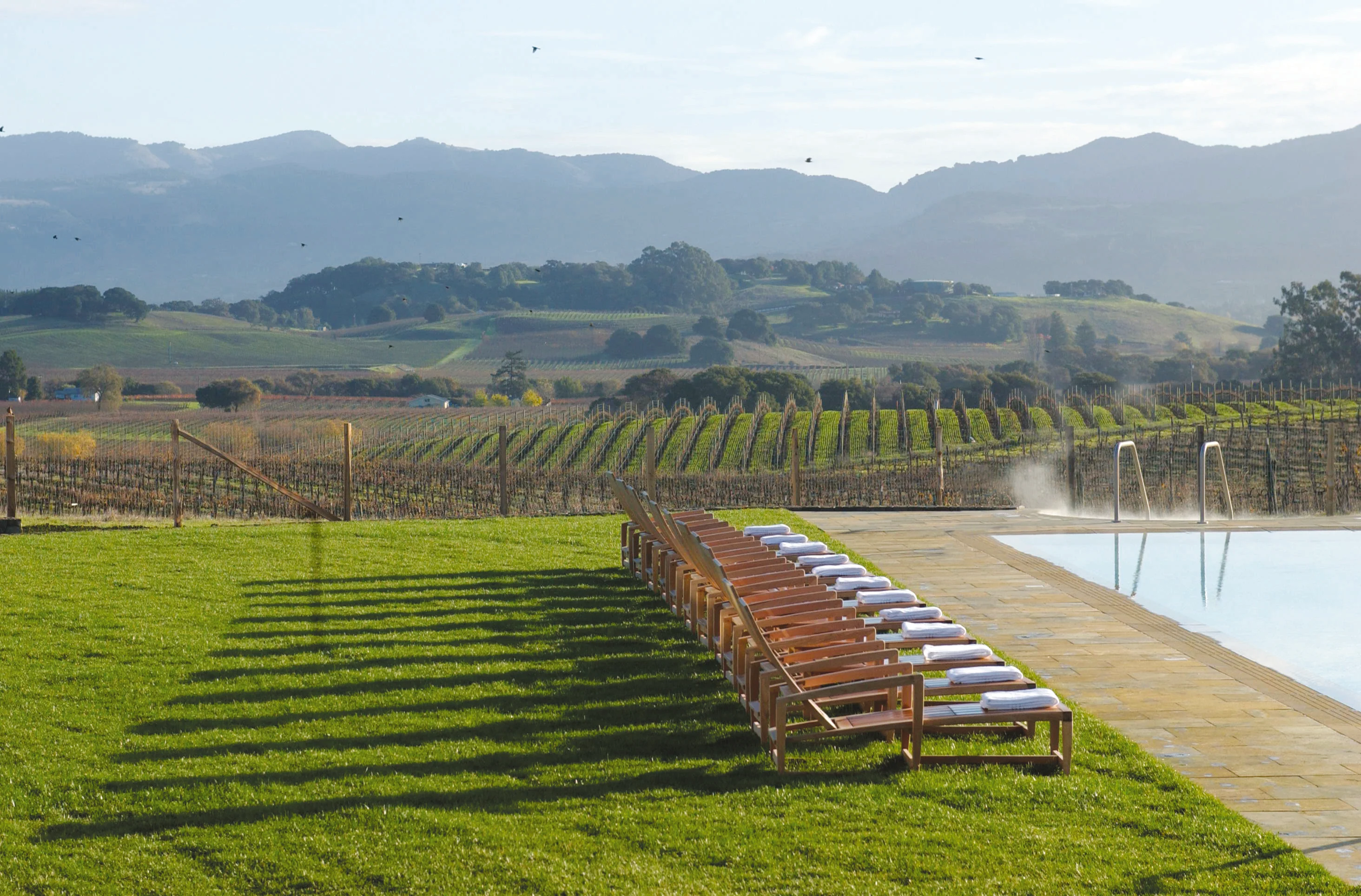 Amalfi — A long rank of teak sun loungers on mown grass beside a vineyard pool, hills behind.