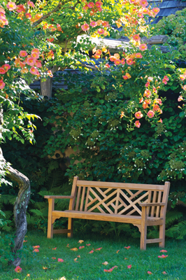 4' Bench — Kingsley Bate archive photograph