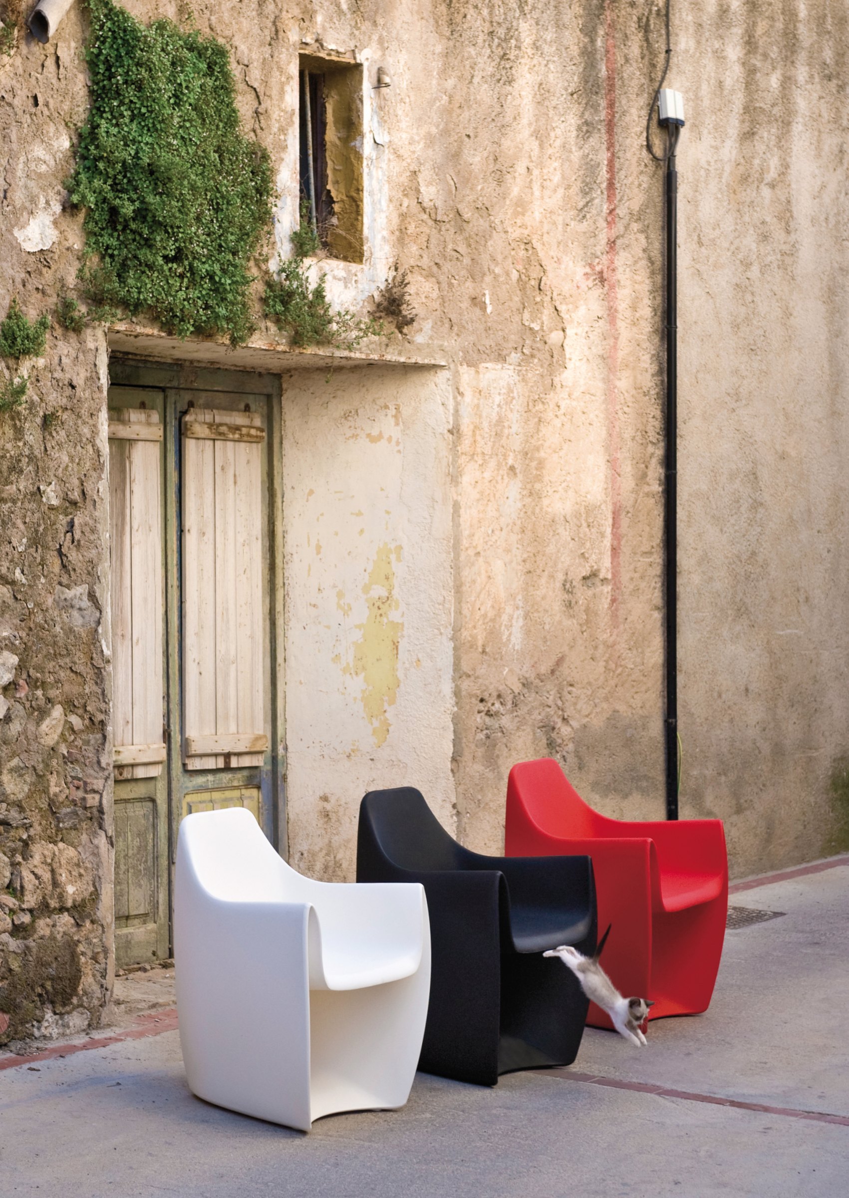 Gat dining armchair — CALMA archive photograph