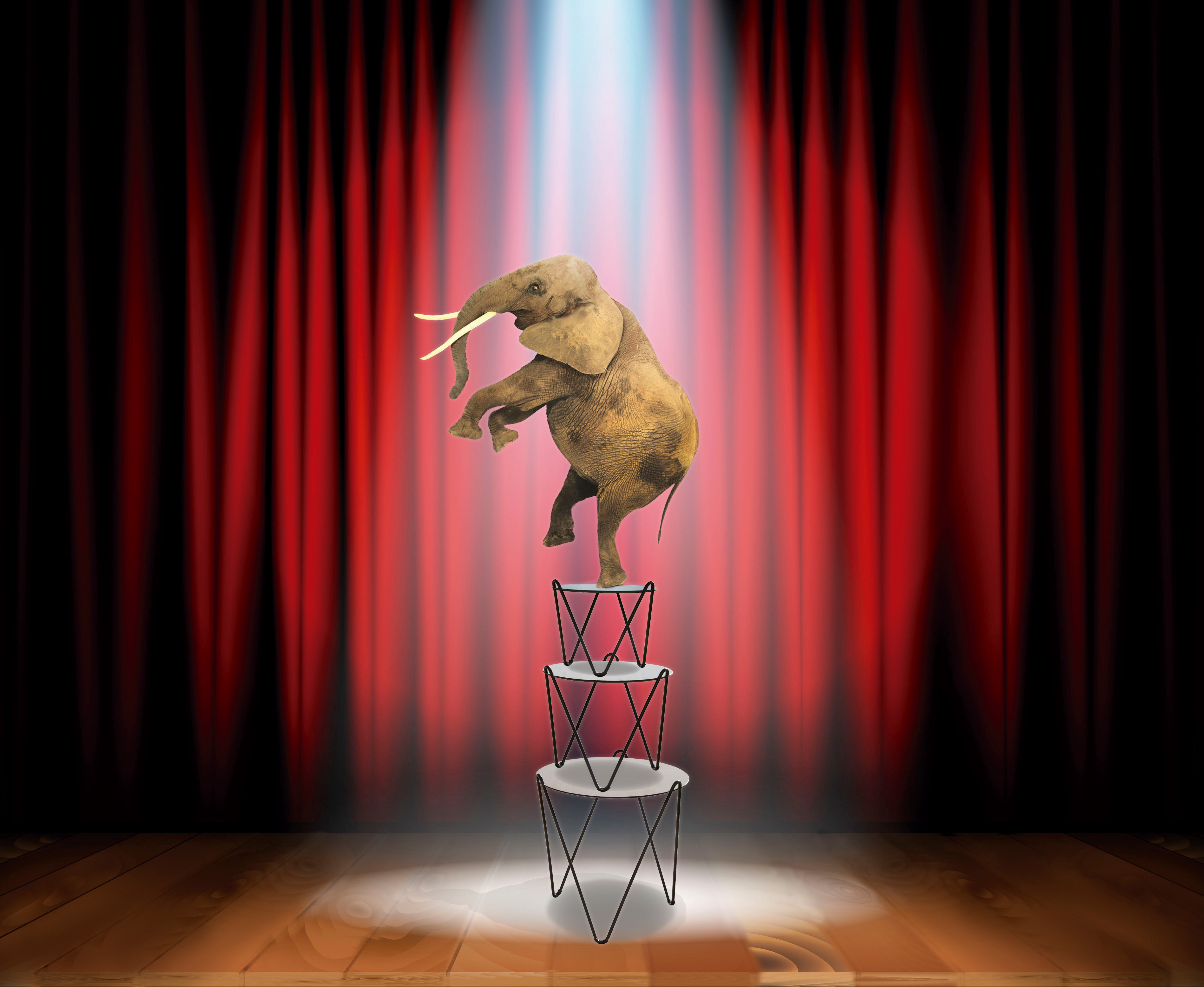 circus — CALMA archive photograph