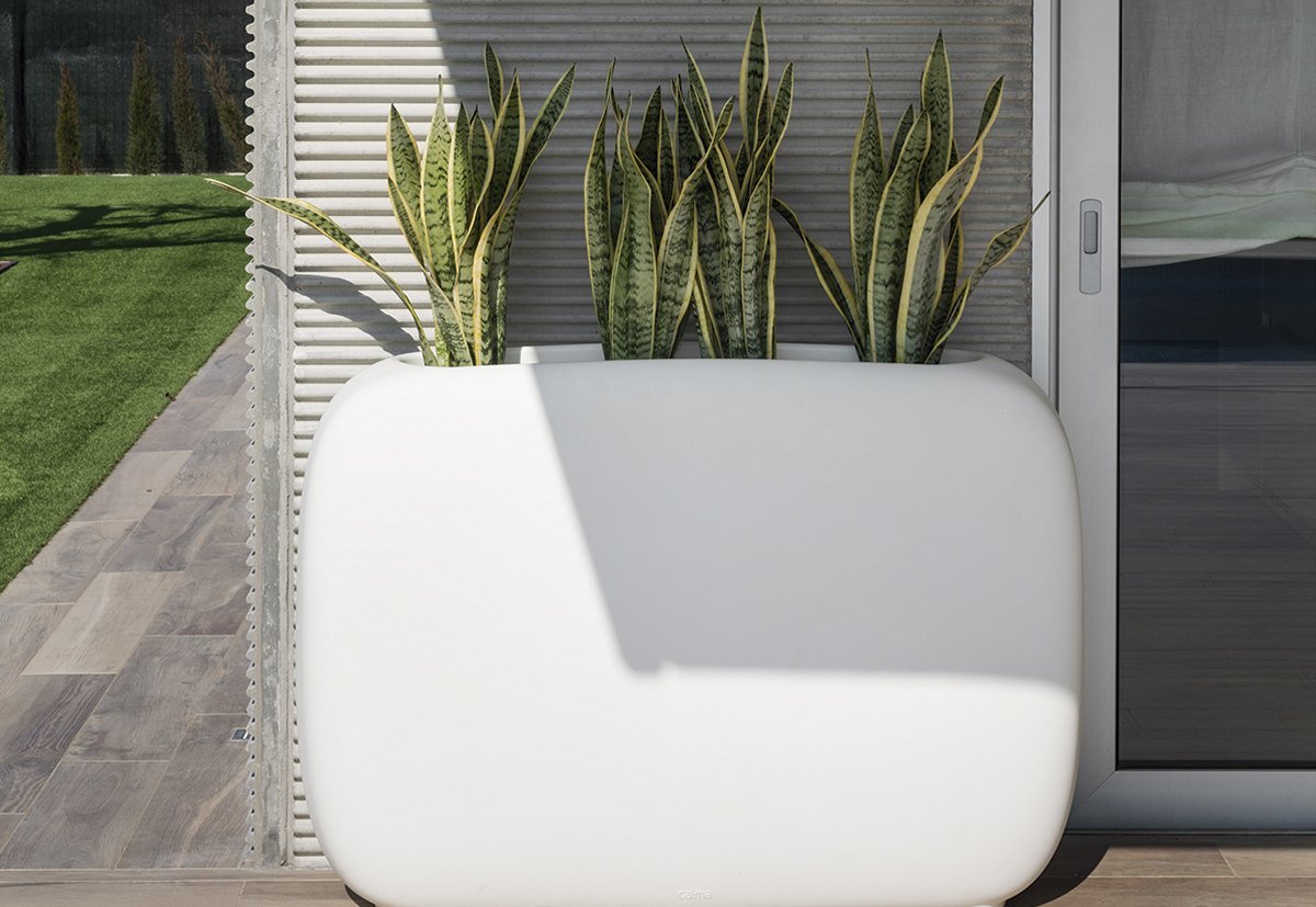 Flowerpot — CALMA archive photograph