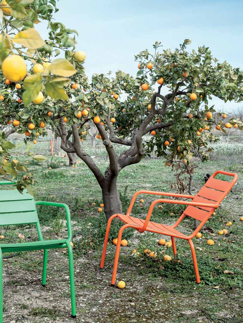 A green and an orange lounge chair set beneath lemon and orange trees heavy with fruit — iSiMAR catalogue photography