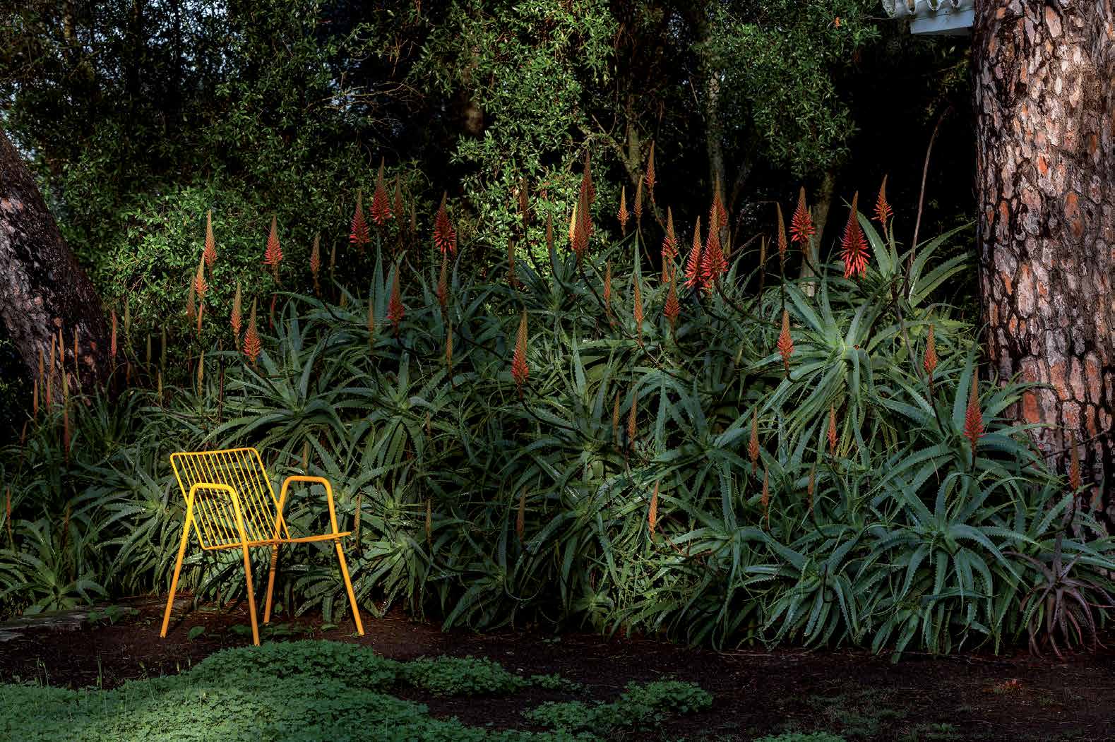 Niza Armchair / Natural honey RAL 1028 — iSiMAR catalogue photography