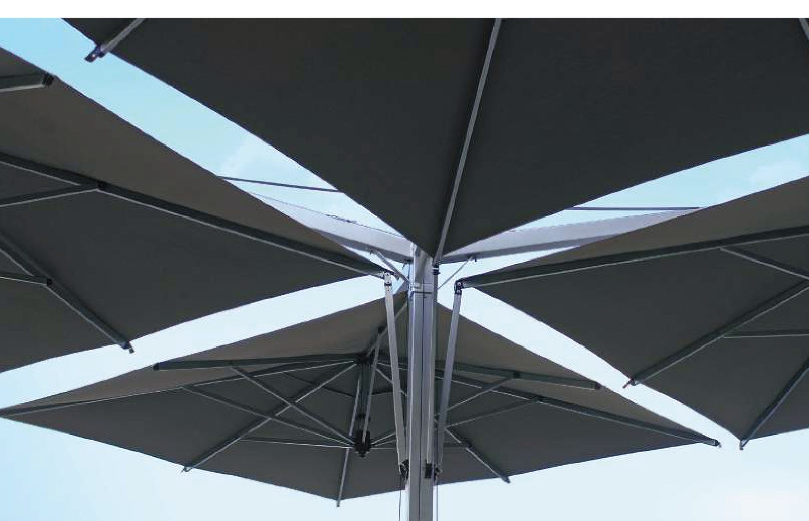 four-head modular canopy cluster viewed from below against open sky